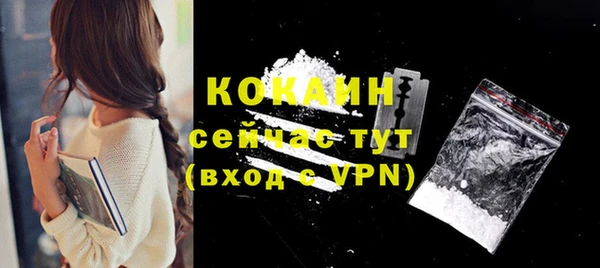 сатива Абаза