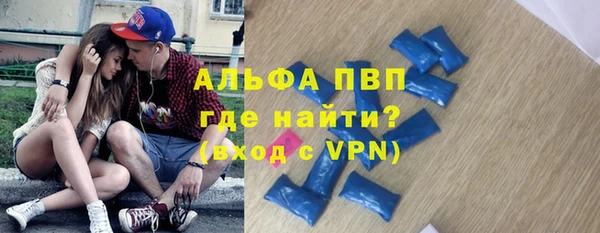 сатива Абаза