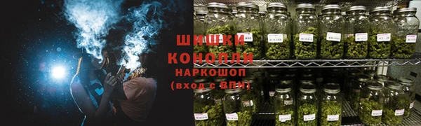 сатива Абаза